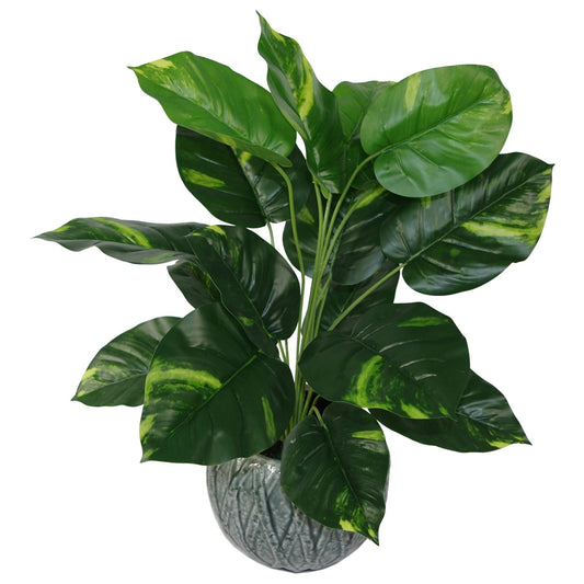 Realistic 60cm Artificial Devil's Ivy Plant – Lush, Variegated & Ready to Display! - plants - express.com