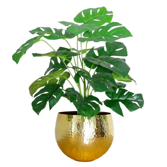 Realistic 60cm Monstera Cheese Plant Bundle with Elegant Brass Planter - plants - express.com