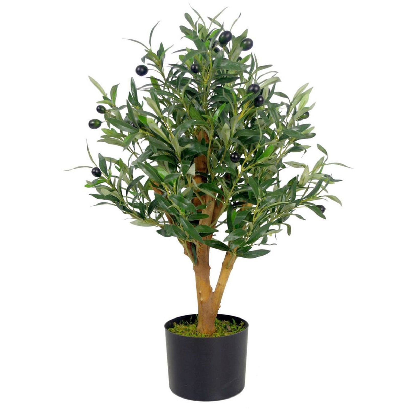 Realistic 65cm Olive Tree - Stunning Leaf Design in Stylish Black Pot - plants - express.com