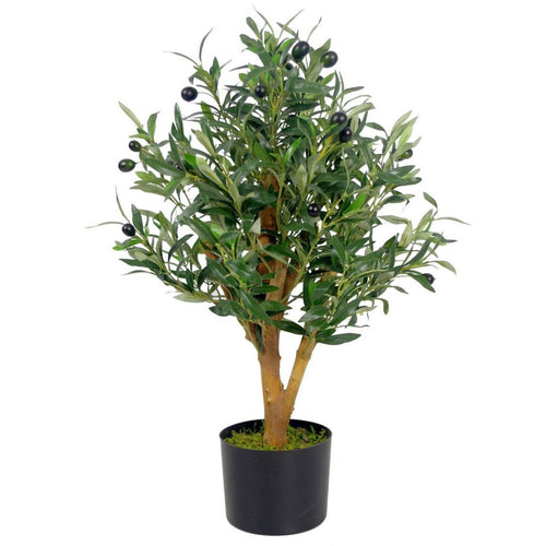 Realistic 65cm Olive Tree - Stunning Leaf Design in Stylish Black Pot - plants - express.com
