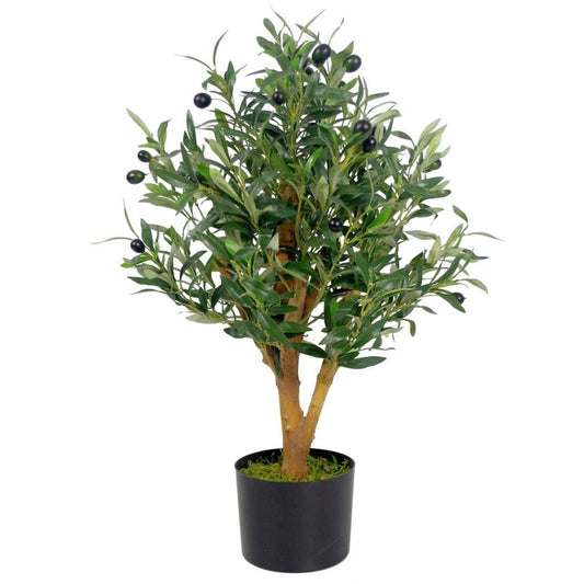 Realistic 65cm Olive Tree - Stunning Leaf Design in Stylish Black Pot - plants - express.com