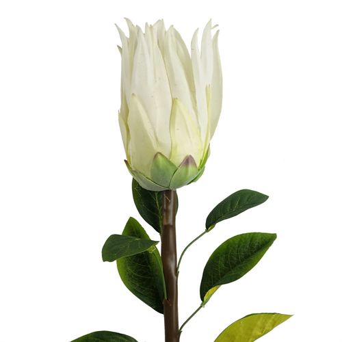 Realistic 65cm White Sugarbush Protea Stem - Ultimate Floral Elegance - plants - express.com