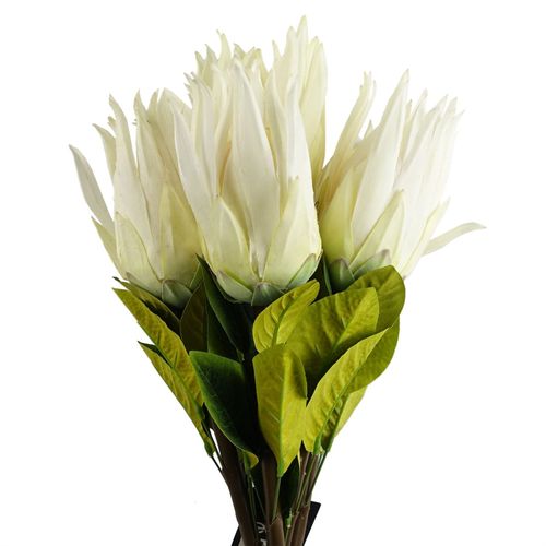 Realistic 65cm White Sugarbush Protea Stem - Ultimate Floral Elegance - plants - express.com