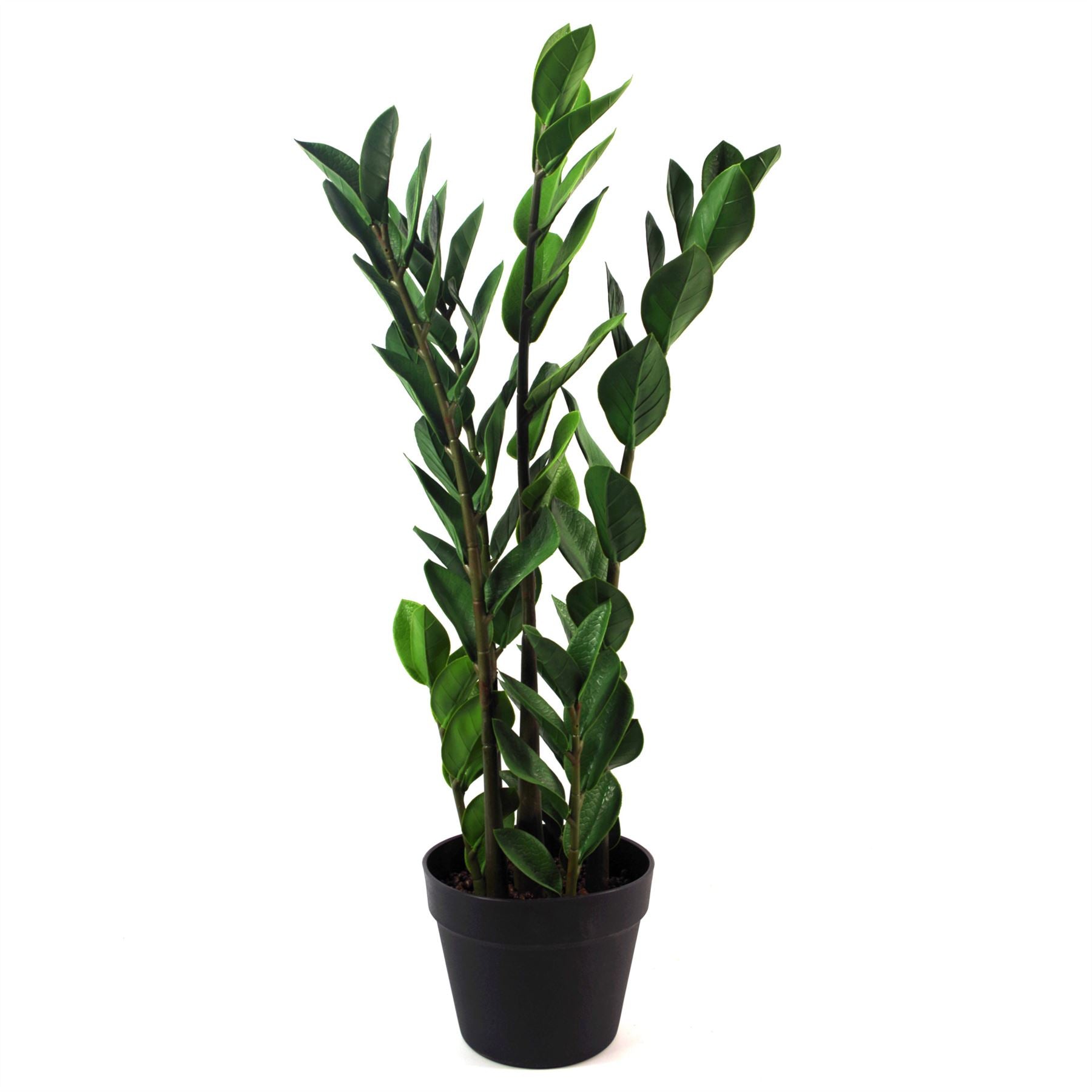 Realistic 75cm Artificial Zanzibar Gem Plant - Perfect No - Maintenance Décor! - plants - express.com