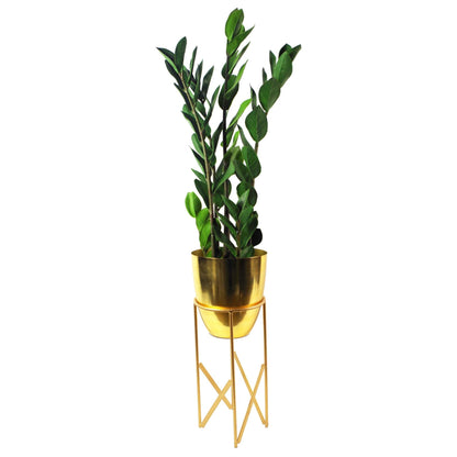 Realistic 75cm Artificial Zanzibar Gem Plant - Perfect No - Maintenance Décor! - plants - express.com