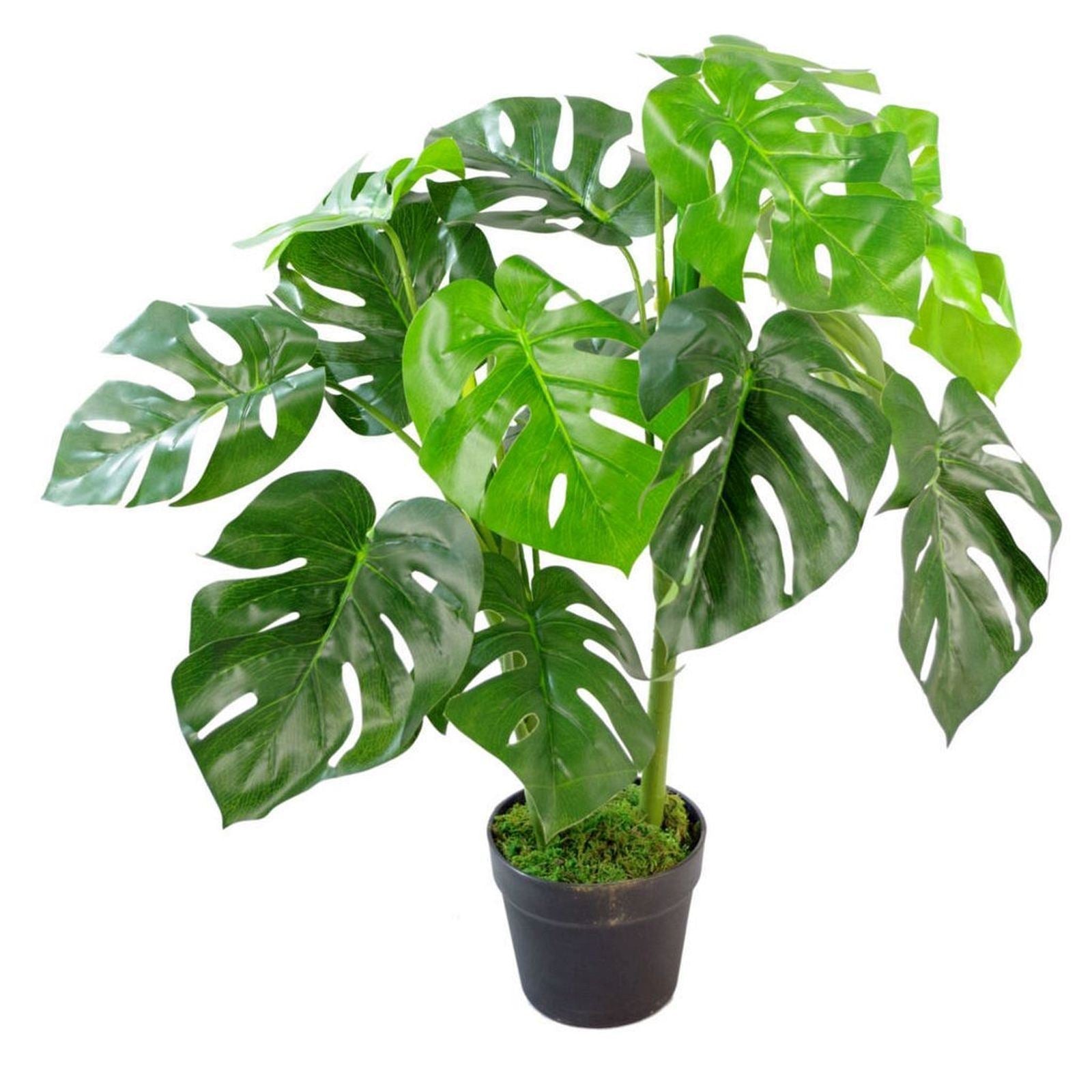 Realistic 80cm Artificial Monstera Plant - Lush Greenery, Customizable Design - plants - express.com
