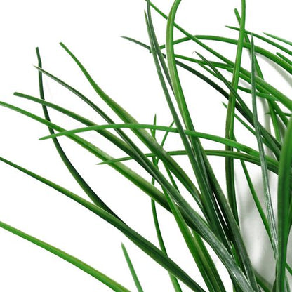 Realistic 90cm Artificial Grass Spray for Stunning Arrangements & Decor - plants - express.com