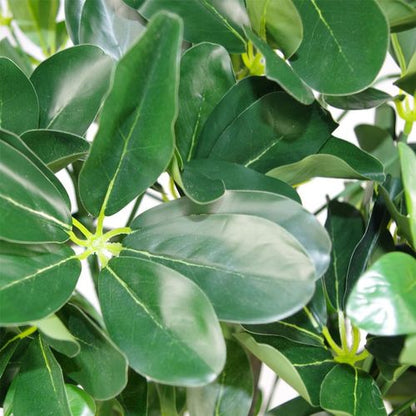 Realistic 95cm Dark Green Artificial Umbrella Tree - Perfect Home Accent! - plants - express.com
