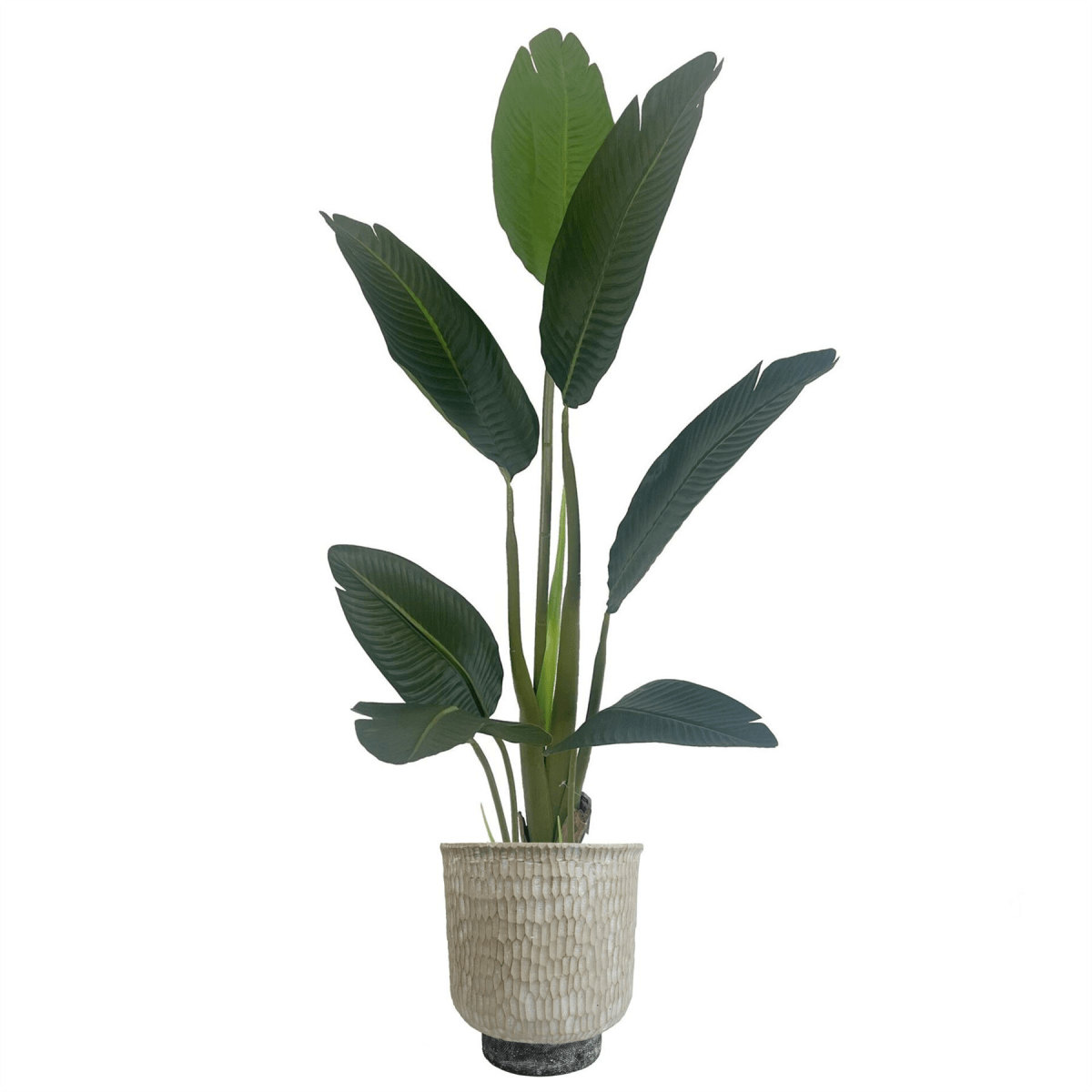 Rustic 32cm Gold Stone Effect Planter - Stylish Indoor/Outdoor Plant Pot - plants - express.com