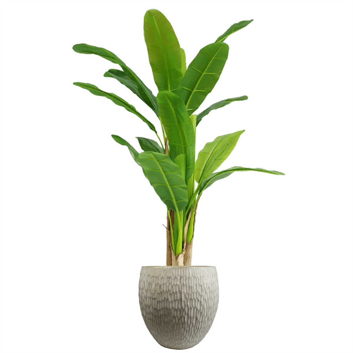 Rustic 43cm Inoke Embossed Fiberglass Stone Planter - Stylish Indoor/Outdoor Pot - plants - express.com
