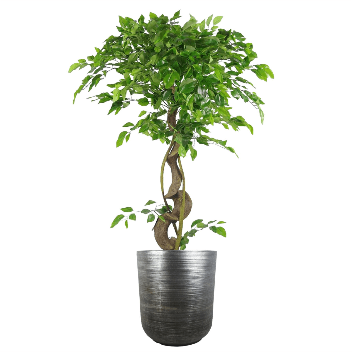 Rustic Coya Silver Ridged Large Planter | 39cm x 33cm | Indoor/Outdoor Charm - plants - express.com