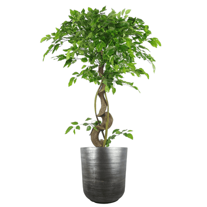 Rustic Coya Silver Ridged Large Planter | 39cm x 33cm | Indoor/Outdoor Charm - plants - express.com