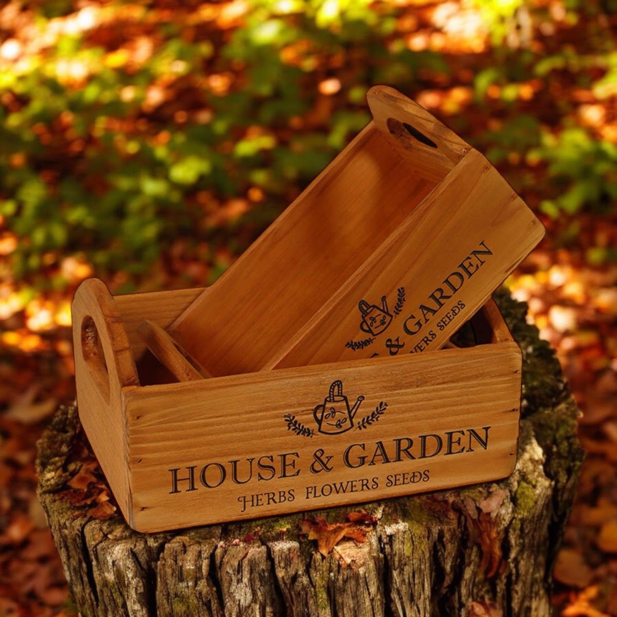 SET 2 WOODEN FLOWER PLANTERS - plants - express.com