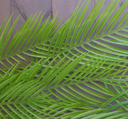 Set of 12 Extra Large 120cm Realistic Artificial Hanging Palm Plants - plants - express.com