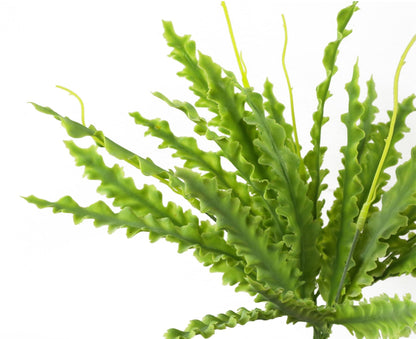 Set of 12 Realistic 40cm Artificial Crocodile Ferns - No Maintenance Required! - plants - express.com