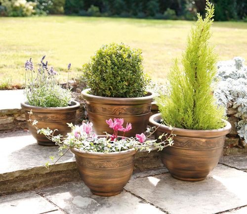 Set of 4 Antique Bronze Wenlock Planters for Timeless Garden Elegance - plants - express.com