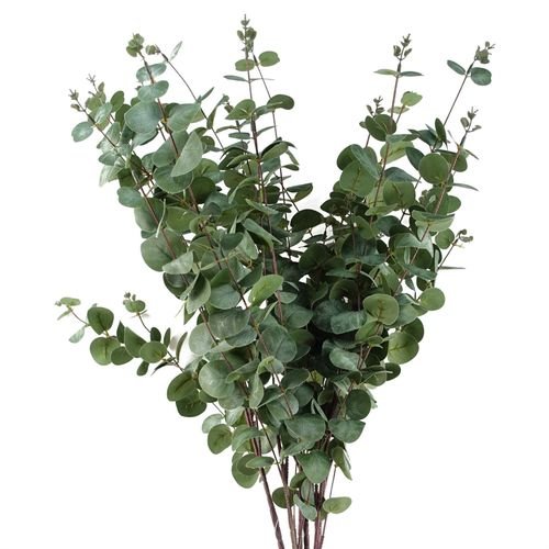 Set of 6 Elegant 100cm Artificial Eucalyptus Stems for Stunning Decor - plants - express.com