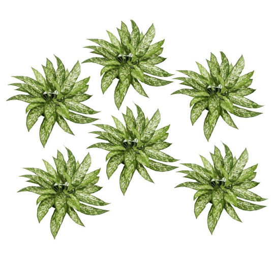 Set of 6 Fire - Resistant 45cm Artificial Aglaonema Bushes - No Maintenance Needed! - plants - express.com