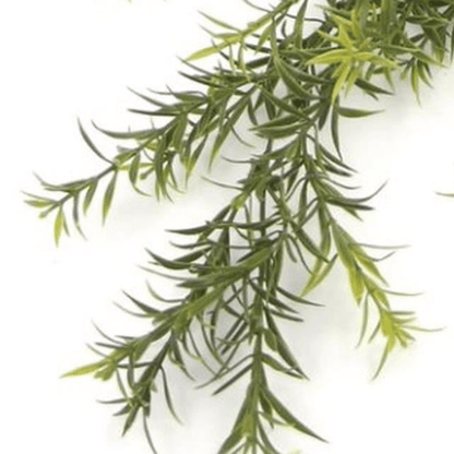 Set of 6 Fire - Resistant Hanging Spider Ferns—Lifelike & UV Protected! - plants - express.com