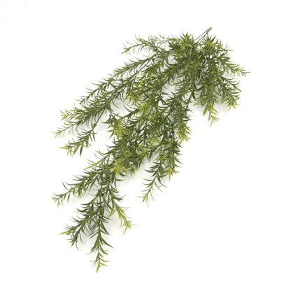 Set of 6 Fire - Resistant Hanging Spider Ferns—Lifelike & UV Protected! - plants - express.com
