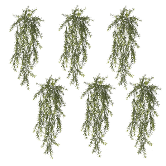 Set of 6 Fire - Resistant Hanging Spider Ferns—Lifelike & UV Protected! - plants - express.com