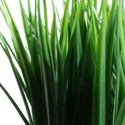 Set of 6 Lifelike 22cm Artificial Grass Plants – Effortless Green Décor! - plants - express.com