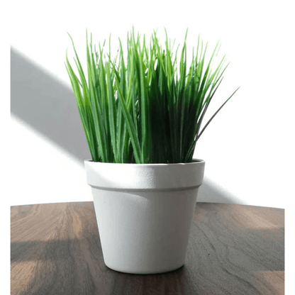 Set of 6 Lifelike 22cm Artificial Grass Plants – Effortless Green Décor! - plants - express.com