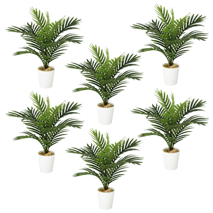 Set of 6 Lifelike 50cm Mini Artificial Palm Trees – Effortless Greenery Decor! - plants - express.com
