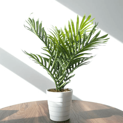 Set of 6 Lifelike 50cm Mini Artificial Palm Trees – Effortless Greenery Decor! - plants - express.com