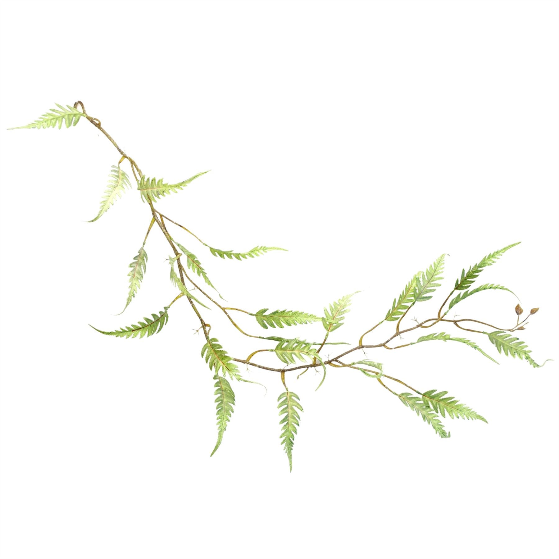 Set of 6 Lush 125cm Artificial Ferns - Stunning Trailing Greenery for Any Home - plants - express.com