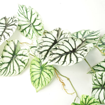 Set of 6 Realistic 120cm Artificial Alocasia Dragon Scale Trailing Plants - plants - express.com