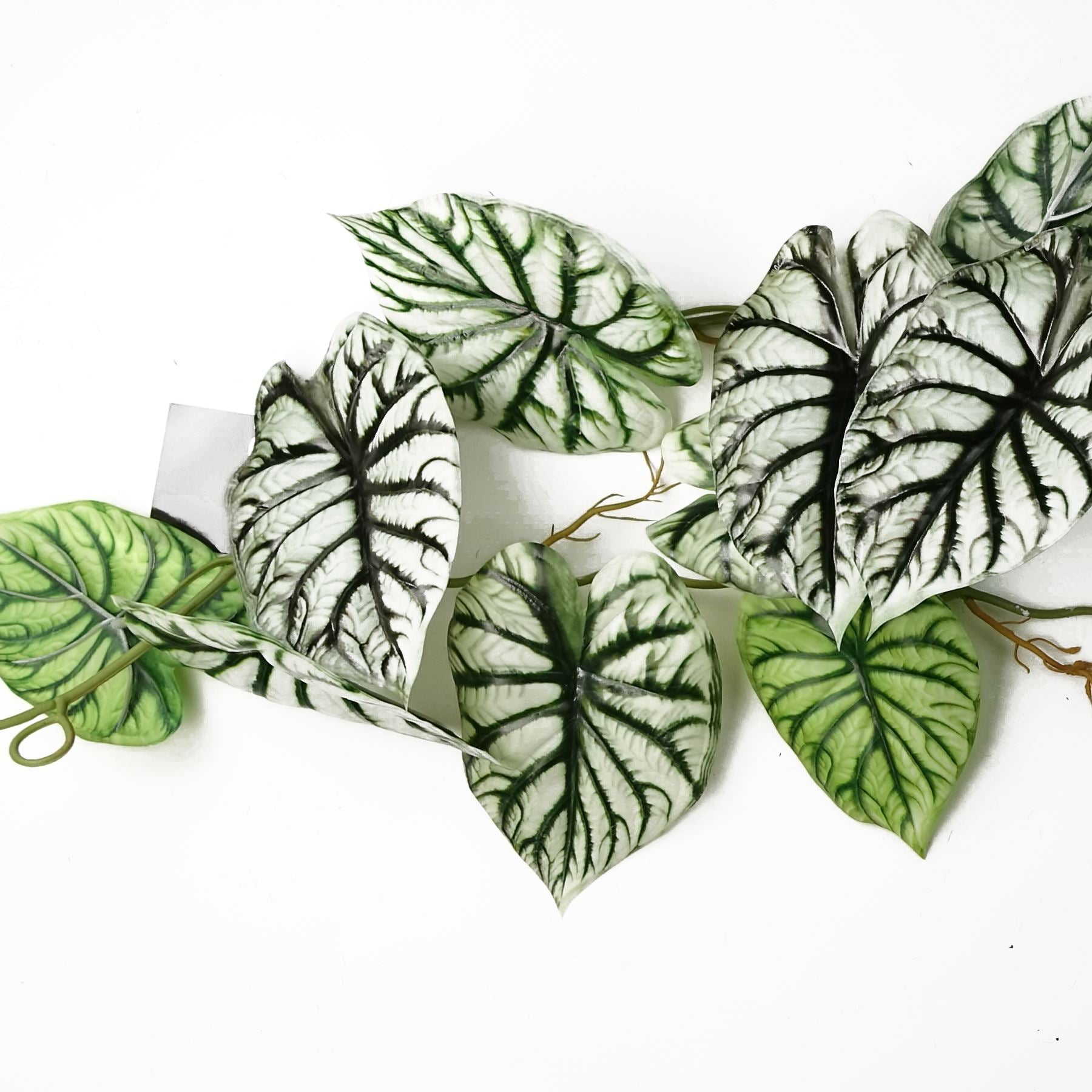 Set of 6 Realistic 120cm Artificial Alocasia Dragon Scale Trailing Plants - plants - express.com