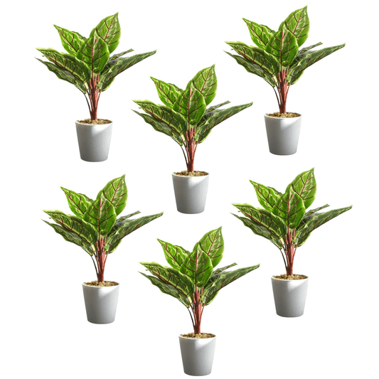 Set of 6 Realistic 38cm Potted Calathea Veitchiane - Effortless Greenery - plants - express.com