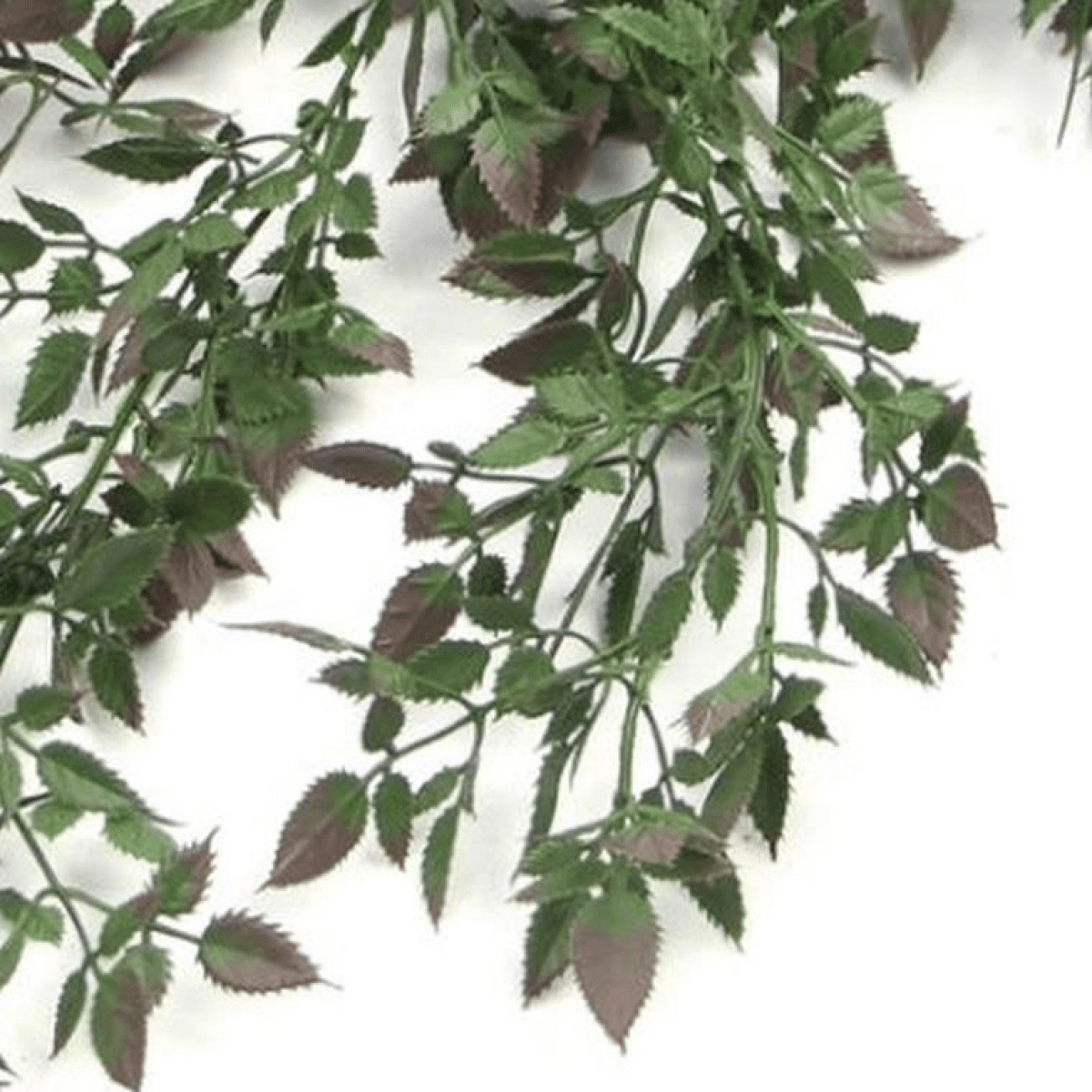 Set of 6 UV & Fire Resistant 76cm Hanging Artificial Angel Fern Plants - plants - express.com
