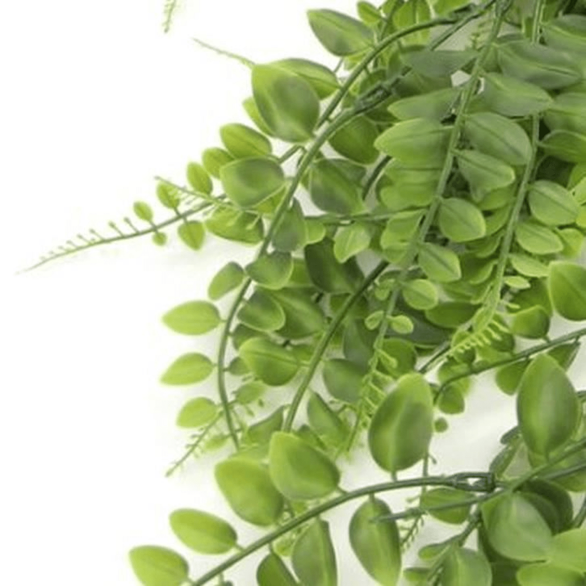 Set of 6 UV & Fire Resistant 85cm Hanging Artificial Pothos Plants - plants - express.com