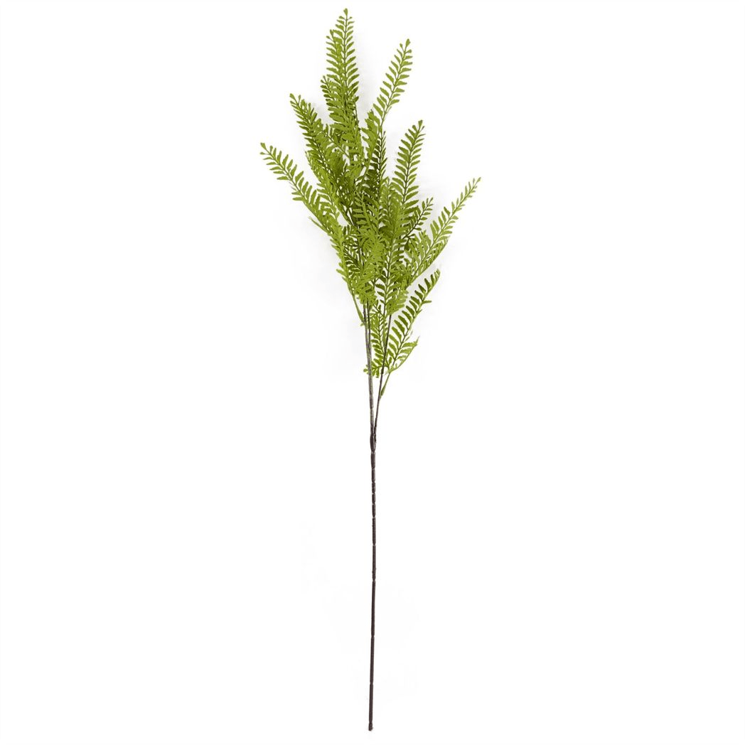 Stunning 100cm Red Poppy & Fern Floral Arrangement with Elegant Glass Vase - plants - express.com