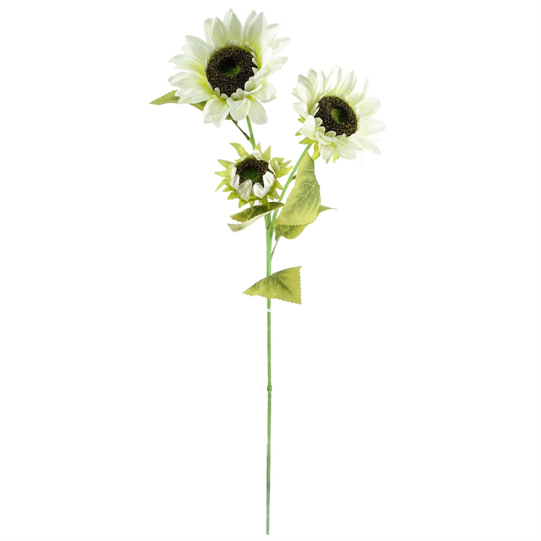Stunning 100cm White Sunflower Floral Display with Elegant Glass Vase - plants - express.com