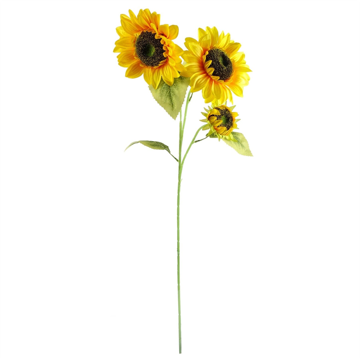 Stunning 100cm Yellow Sunflower & Palm Leaf Arrangement in Glass Vase - plants - express.com