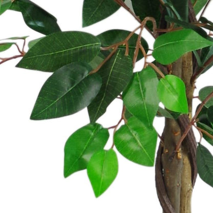 Stunning 110cm Ficus Tree - Lush, Realistic, Perfect for Any Space! - plants - express.com