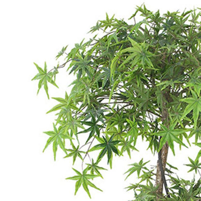 Stunning 150cm Faux Japanese Maple Tree - Perfect for Any Space! - plants - express.com
