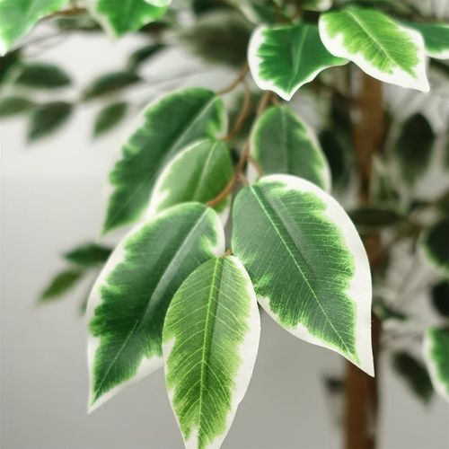 Stunning 150cm Ficus Tree - Lifelike Silk Elegance for Effortless Décor! - plants - express.com