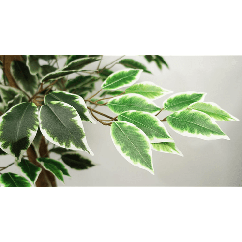 Stunning 150cm Ficus Tree - Lifelike Silk Elegance for Effortless Décor! - plants - express.com
