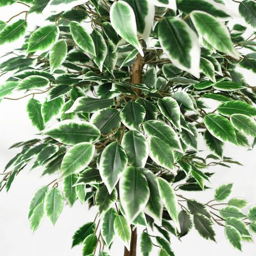 Stunning 150cm Ficus Tree - Lifelike Silk Elegance for Effortless Décor! - plants - express.com