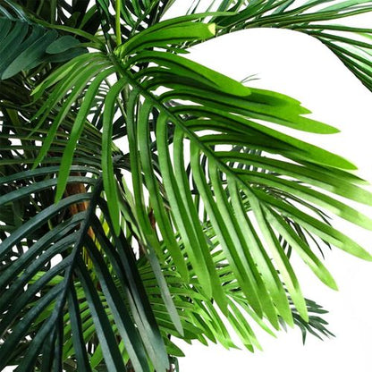 Stunning 150cm Lifelike Areca Palm Tree - Perfect for Home Elegance! - plants - express.com