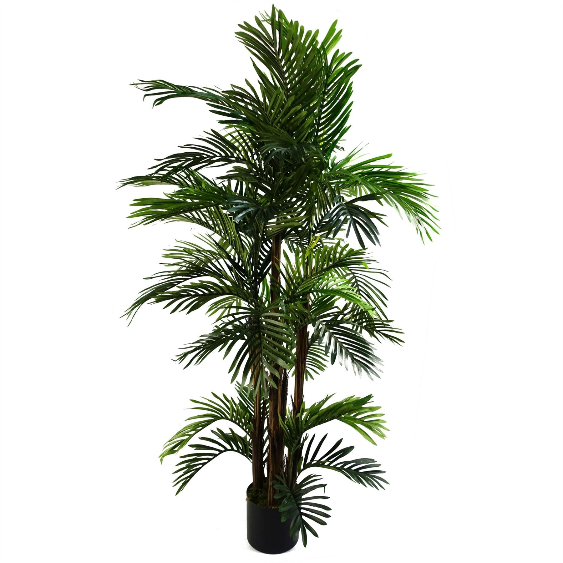 Stunning 150cm Lifelike Areca Palm Tree - Perfect for Home Elegance! - plants - express.com