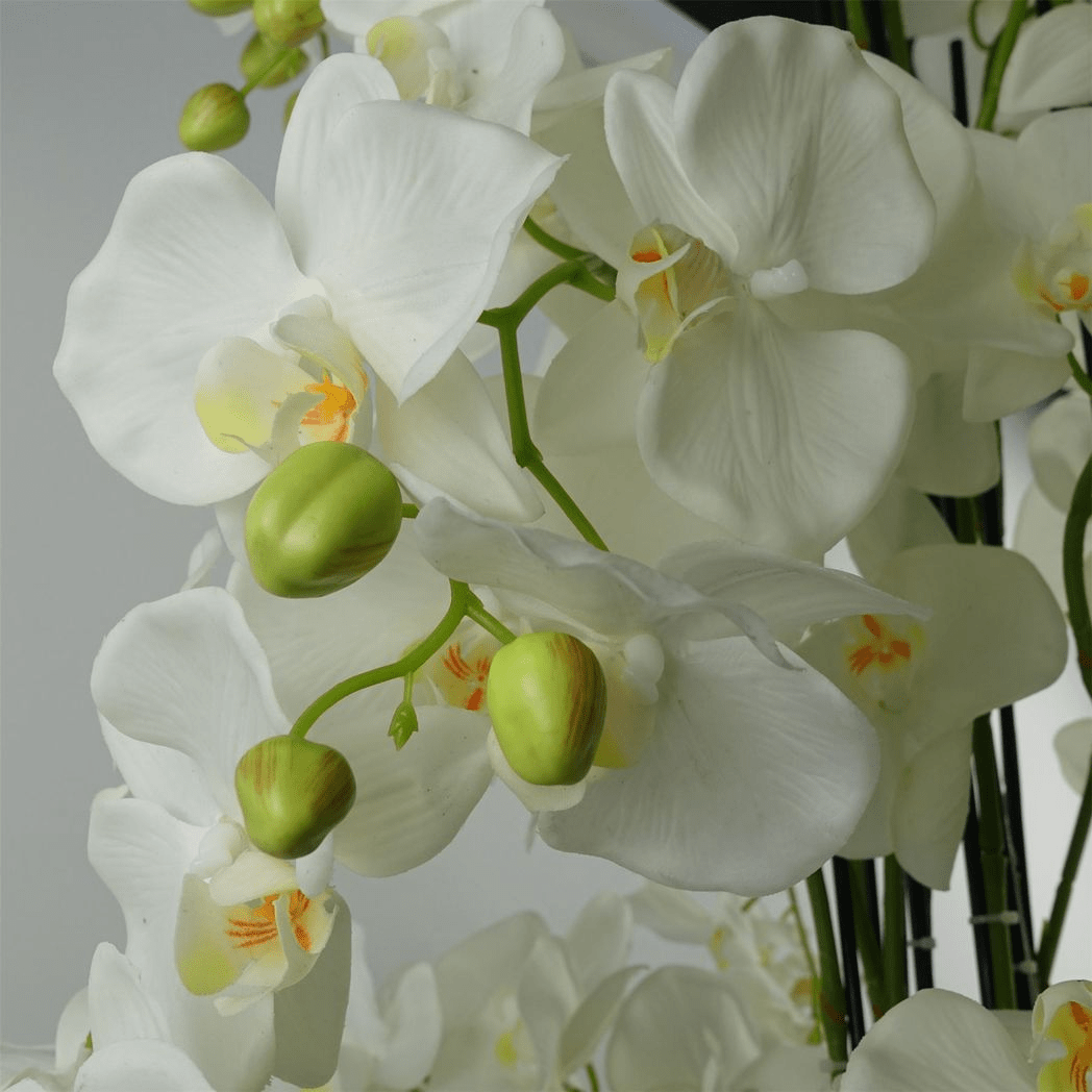 Stunning 150cm Real Touch Giant White Orchid - 189 Lifelike Flowers! - plants - express.com