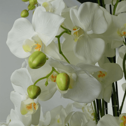 Stunning 150cm Real Touch Giant White Orchid - 189 Lifelike Flowers! - plants - express.com