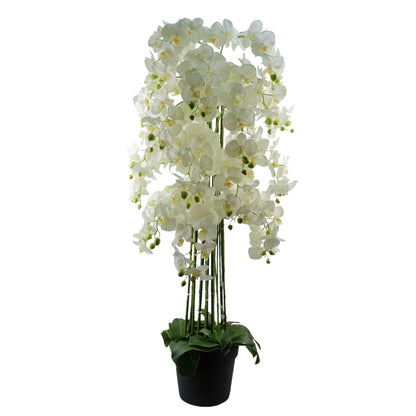 Stunning 150cm Real Touch Giant White Orchid - 189 Lifelike Flowers! - plants - express.com
