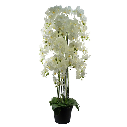 Stunning 150cm Real Touch Giant White Orchid - 189 Lifelike Flowers! - plants - express.com