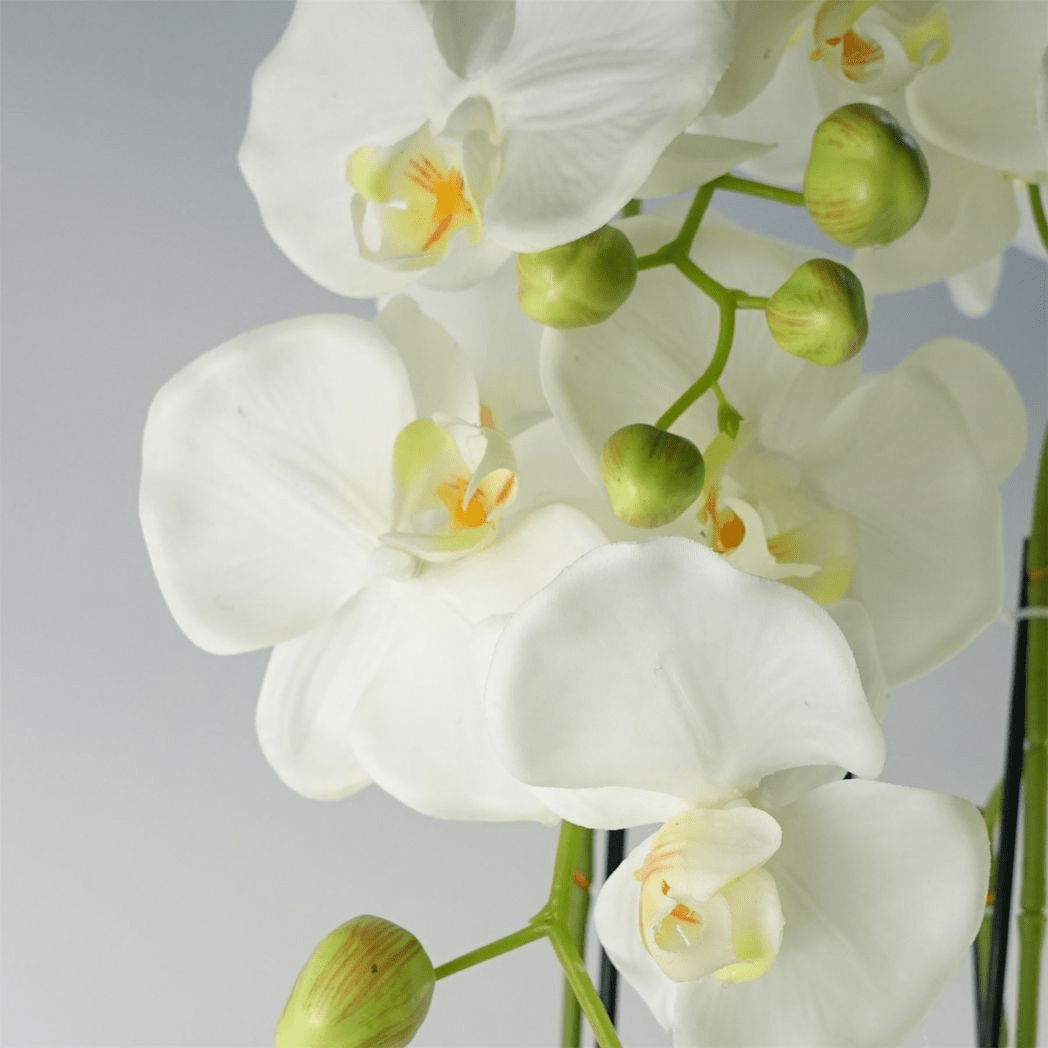 Stunning 150cm Real Touch Giant White Orchid - 189 Lifelike Flowers! - plants - express.com